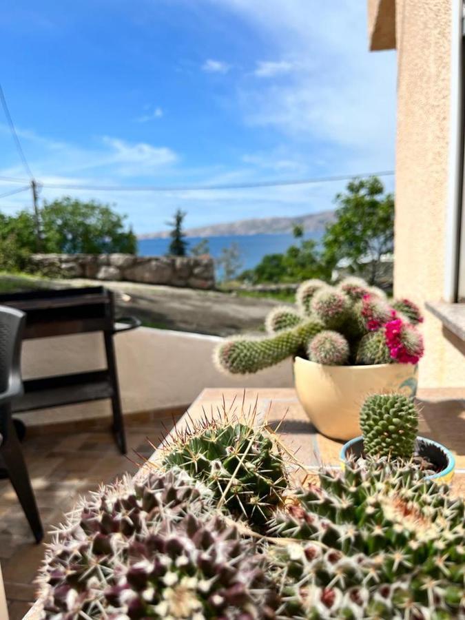 Apartman Luka Klenovica Kültér fotó