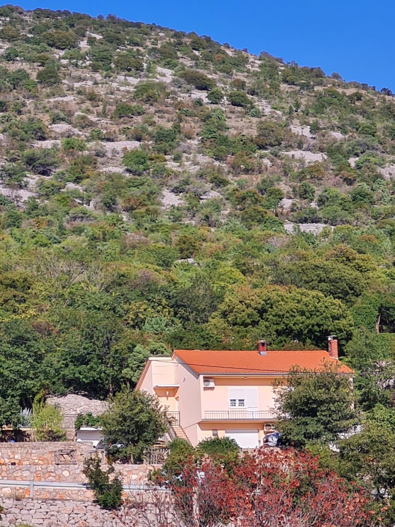 Apartman Luka Klenovica Kültér fotó